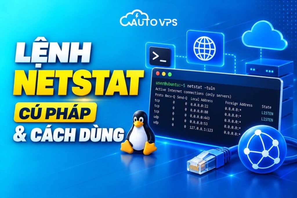 Ảnh minh họa bài viết Lệnh Netstat: Tổng Hợp Các Cú Pháp & Cách Dùng Chi Tiết
