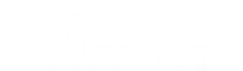 Fast Byte - Thuê VPS Giá Rẻ