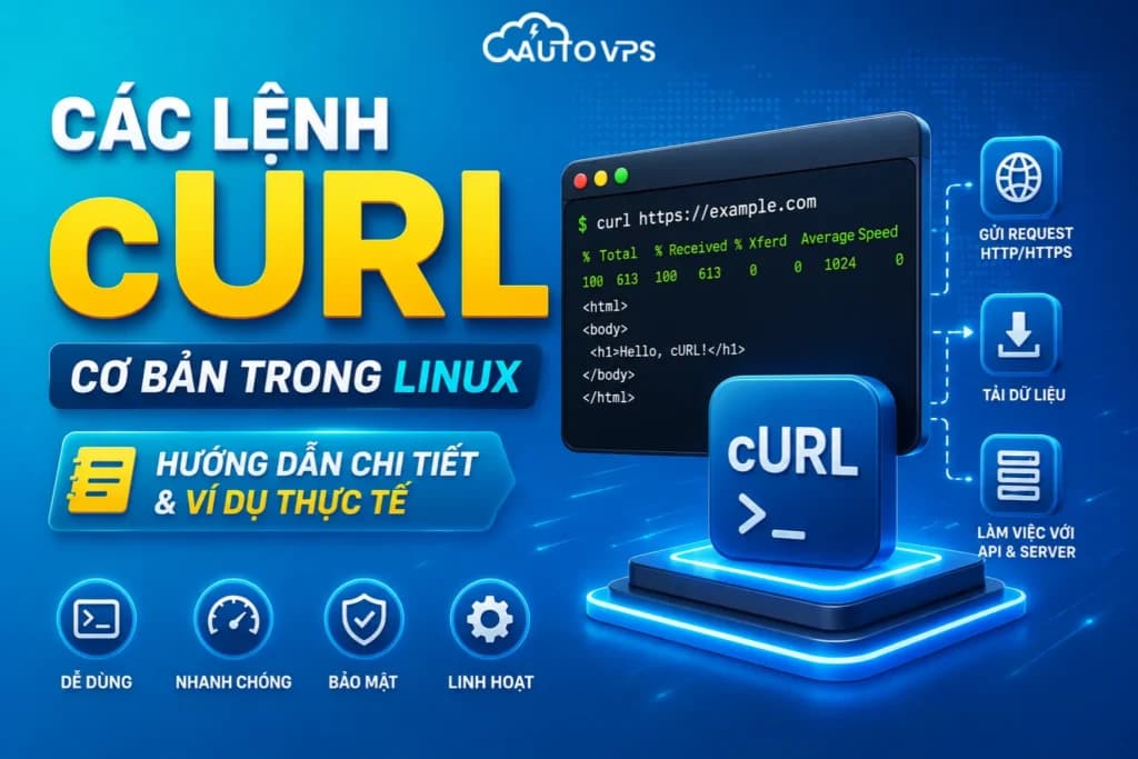 Các Lệnh cURL Linux
