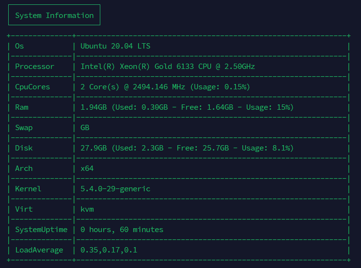 System Information - Benchmark VPS Fast Byte