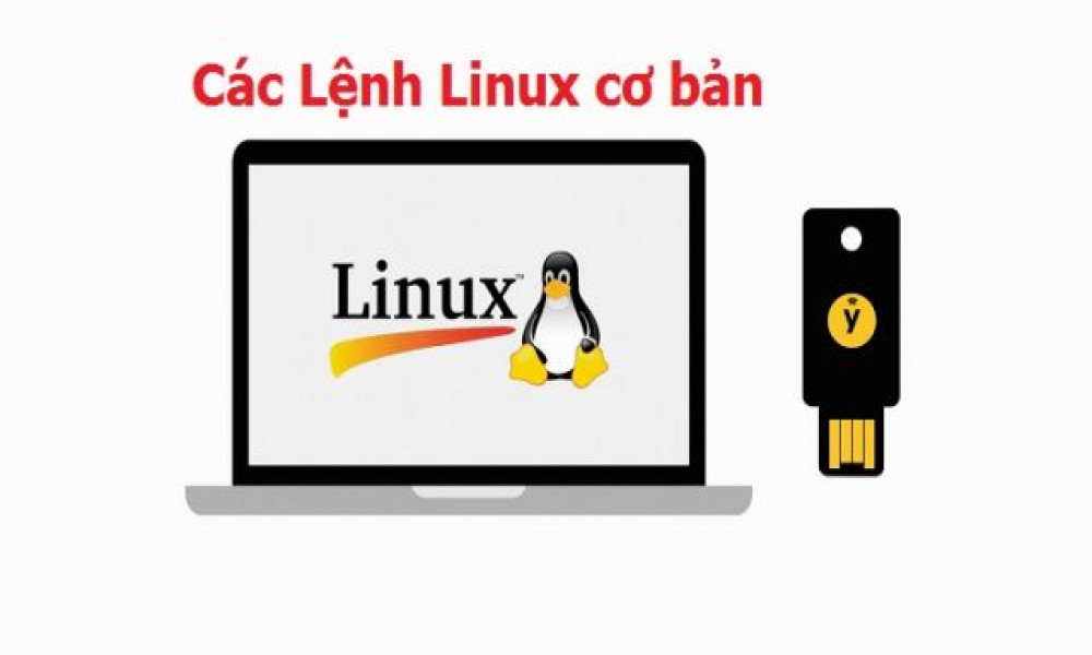 Các lệnh cơ bản trong Linux 