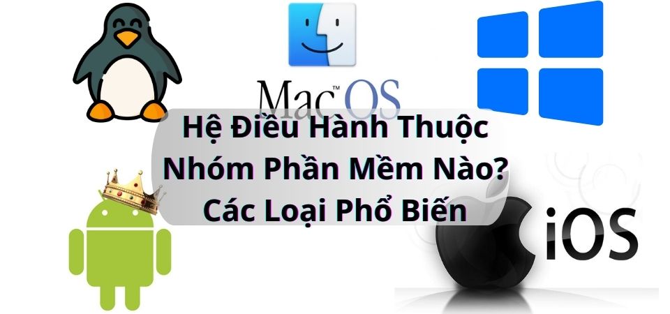 Hệ Điều Hành Thuộc Nhóm Phần Mềm Nào - Các Loại Phổ Biến