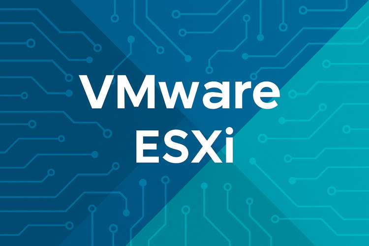 VMware ESXi 04